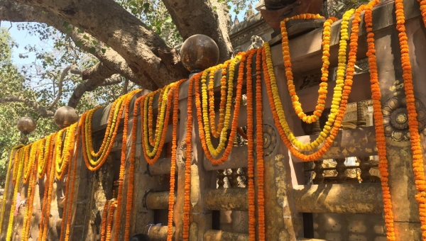 The Special Kagyu Monlam:  Activities in Bodhgaya